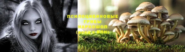твердый Алексин