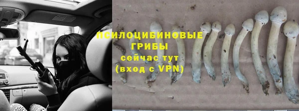 тгк Аркадак