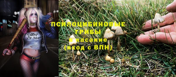 бошки Алзамай