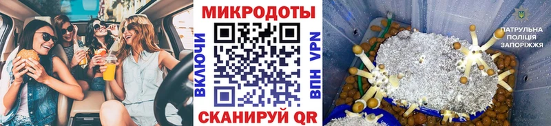 Галлюциногенные грибы Psilocybine cubensis  Энем 